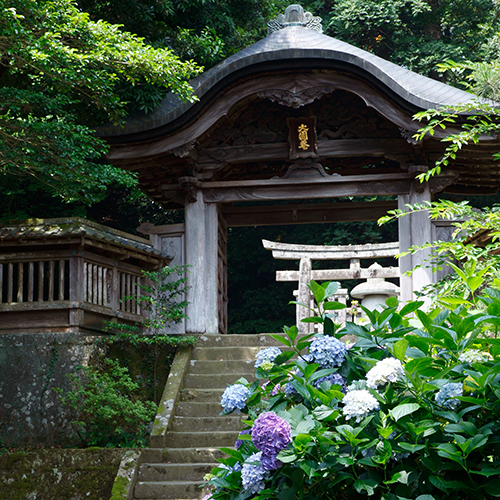 0109 松江市 月照寺