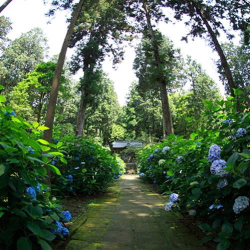 0110 松江市 月照寺