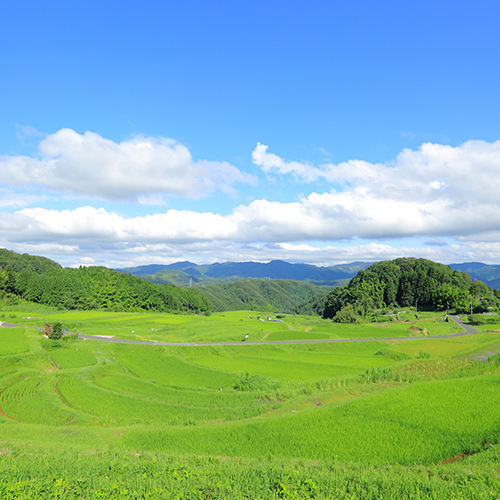 0231 雲南市大東町 山王寺の棚田