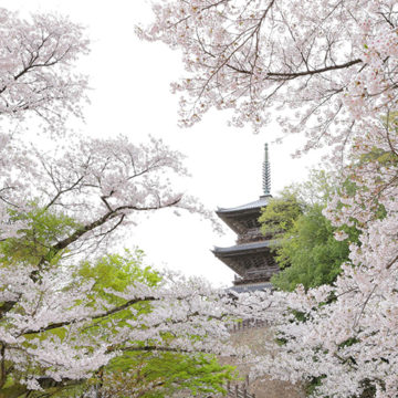 0580 安来市 清水寺