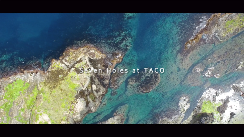Taco’s Seven Holes